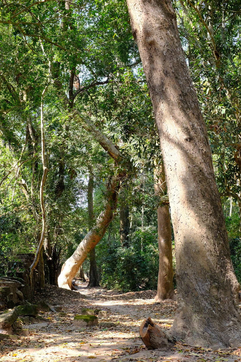 DSCF3286.JPG