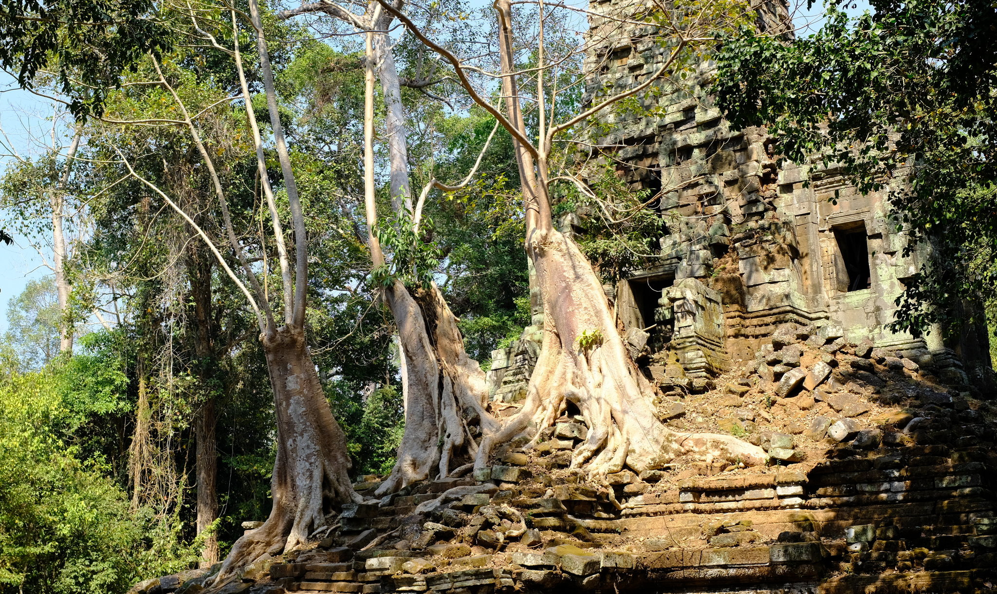 DSCF3293.JPG