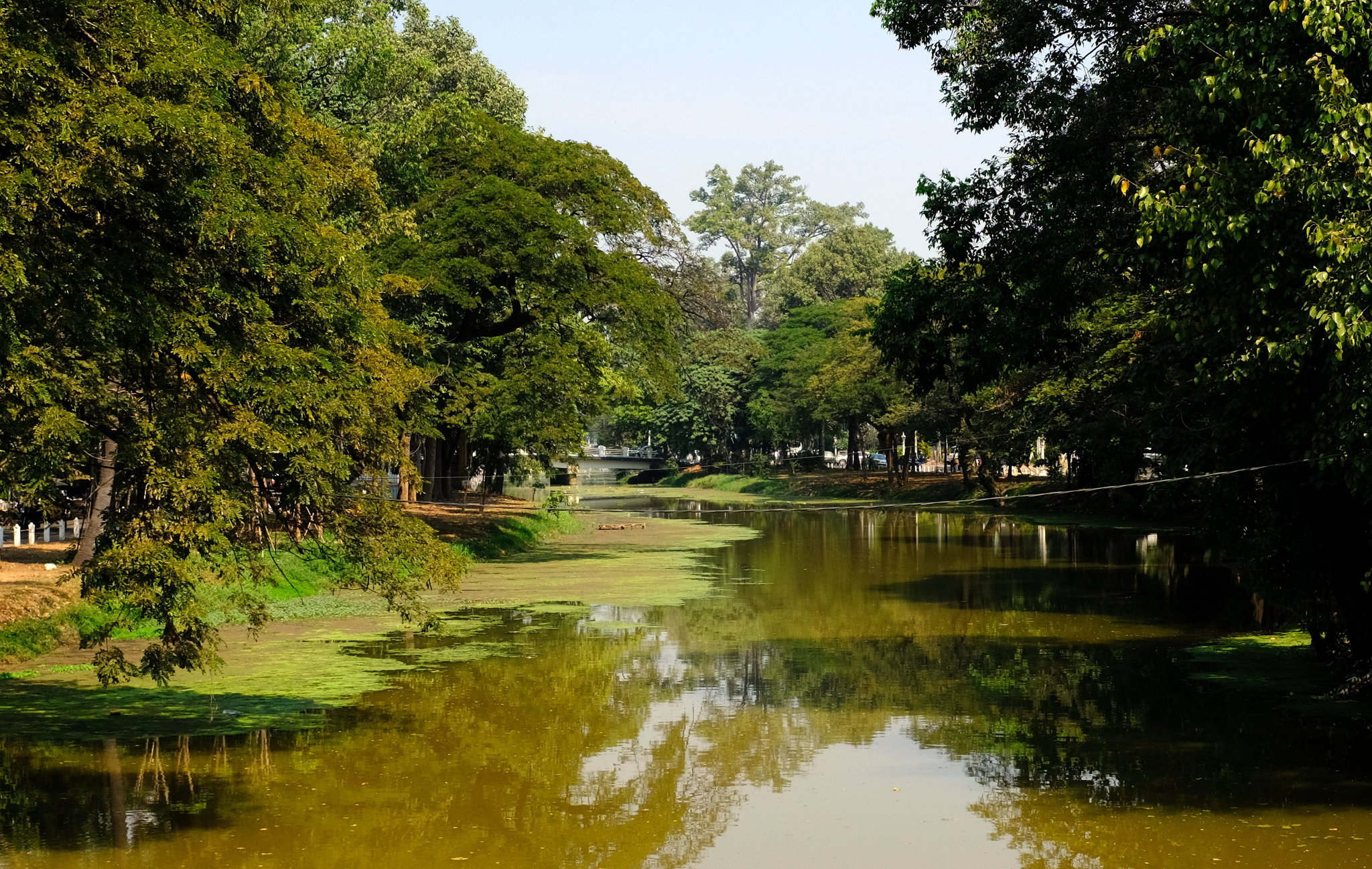 DSCF3336.JPG
