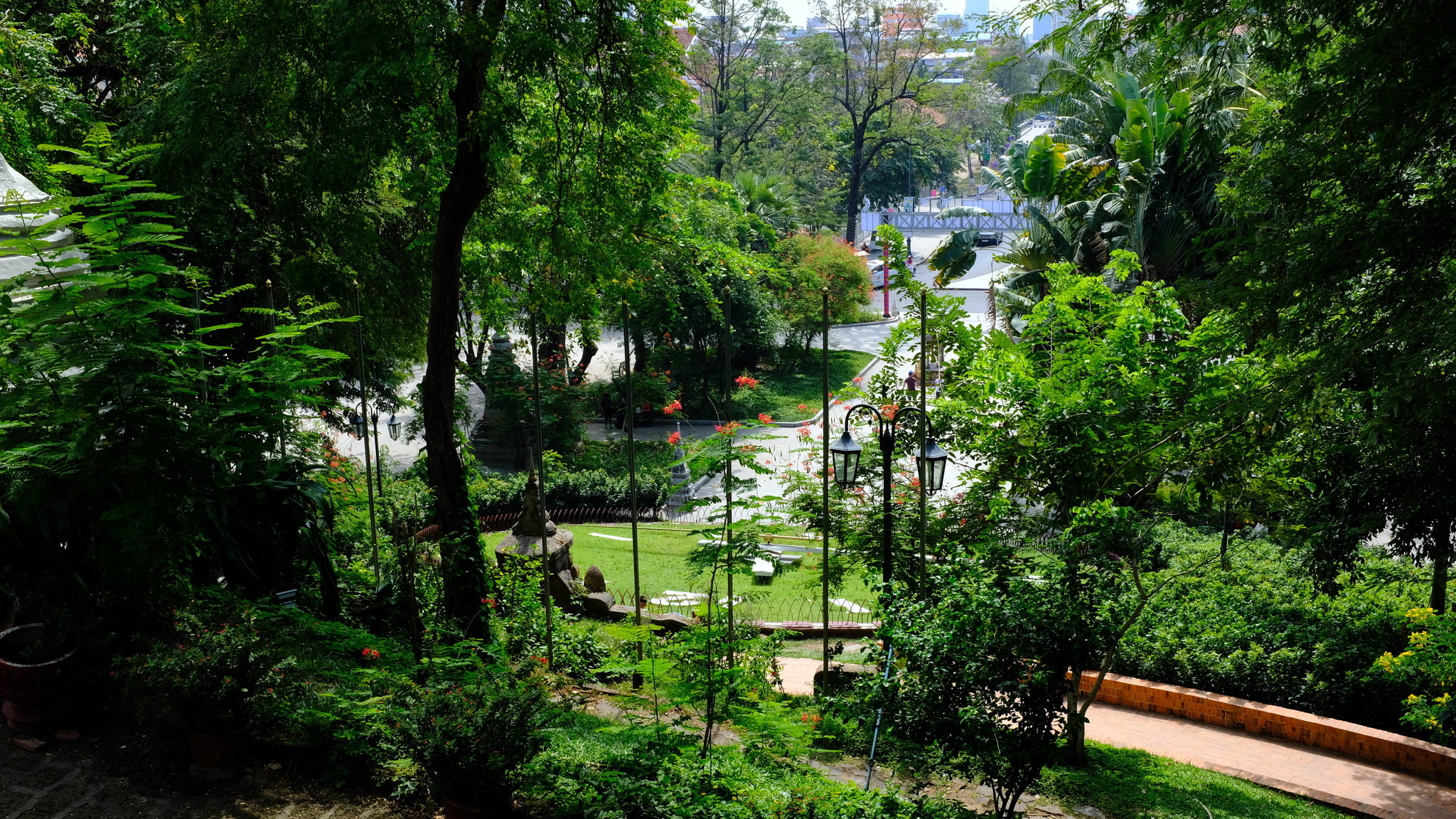 DSCF3431.JPG