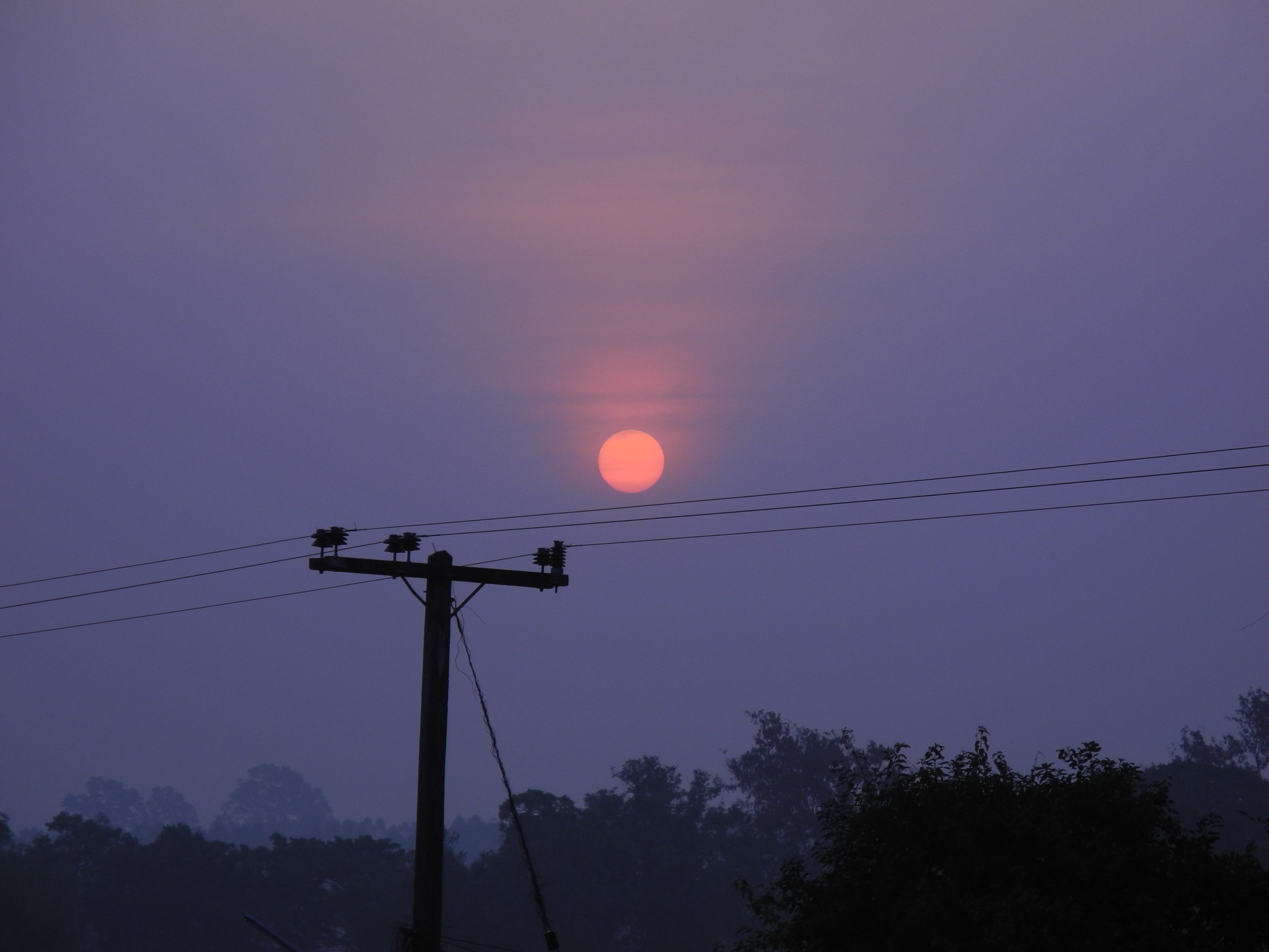 DSCN0265.JPG