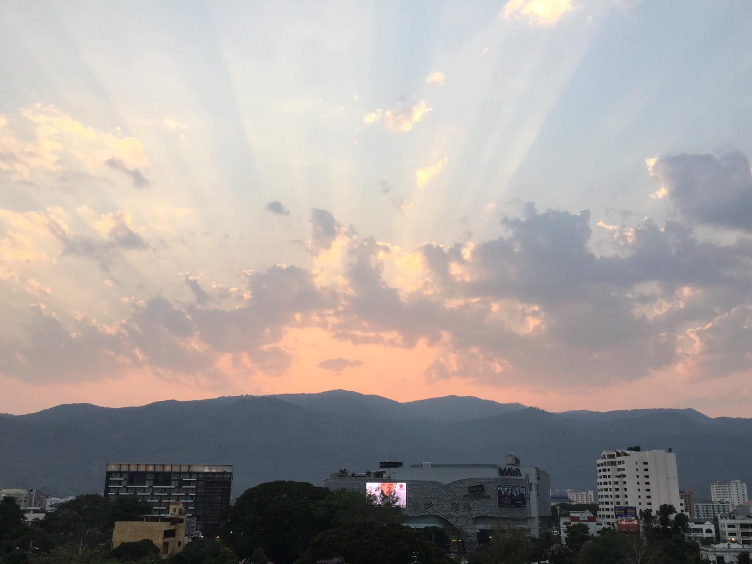 E7D4959C-1B36-4AC9-8EF6-7380AB11A5DD.png