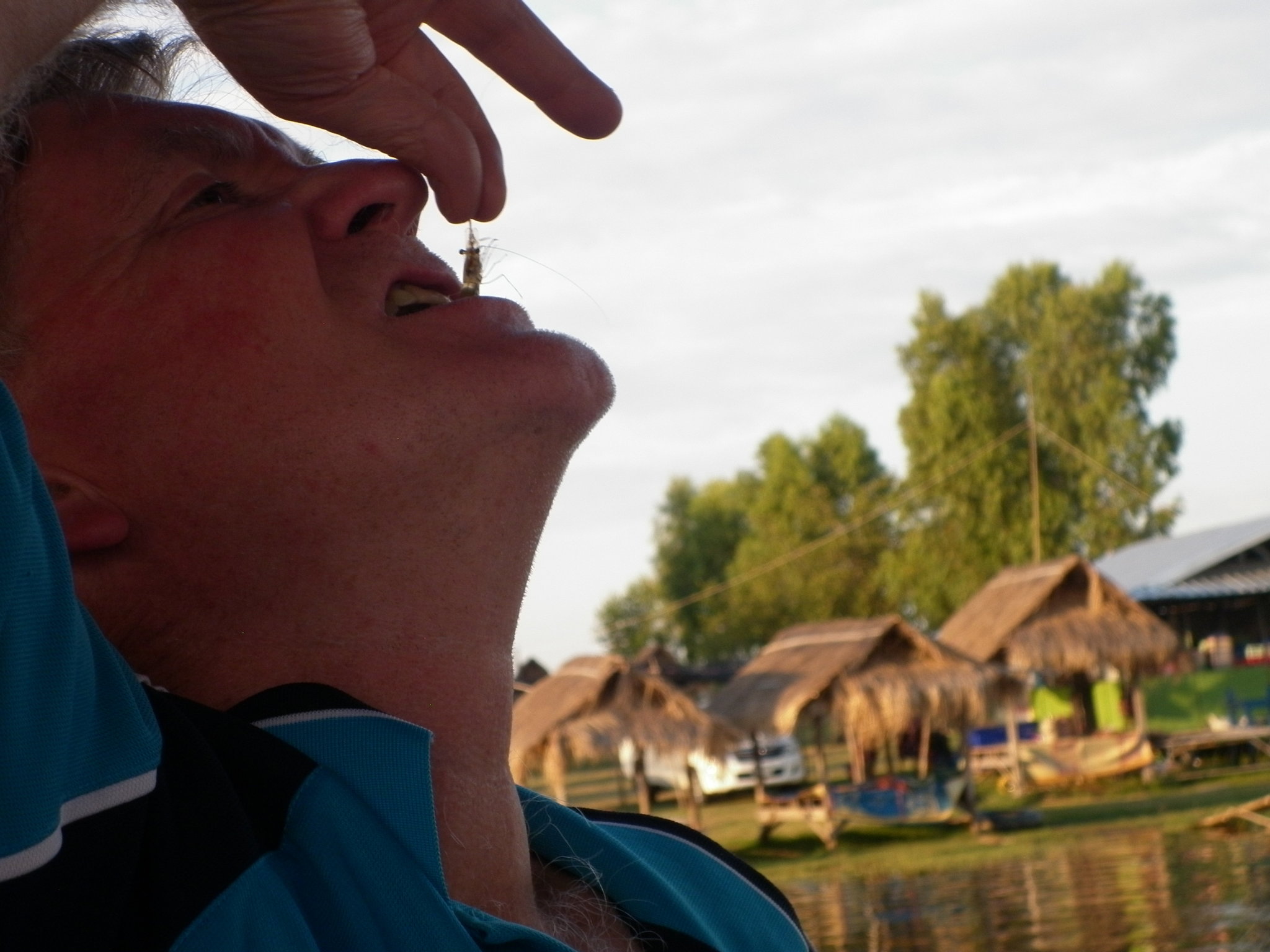 P1000406.thumb.JPG.caca9110043522759eeb864fe672c0a8.JPG