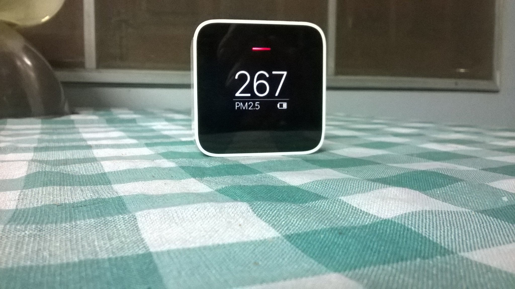 WP_20190211_001.jpg