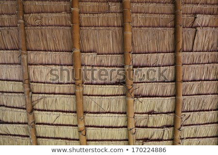 image.png.9cbbe3e95d4ae71b18373172cd14a648.png