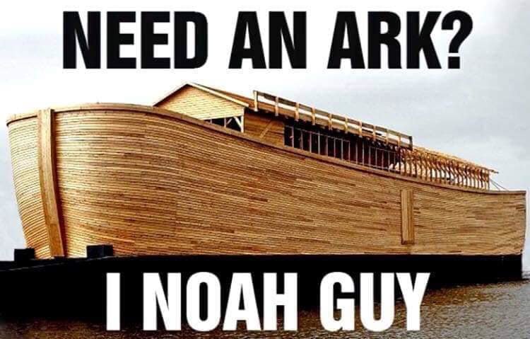noah.jpg.160f4cb881017adc8fa23c750c681586.jpg
