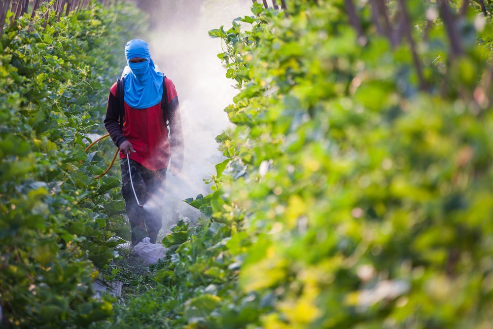 pesticides_and_pregnancy.jpg
