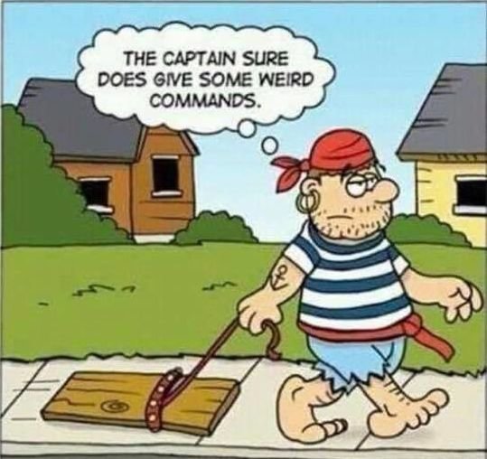pirate.jpg.943eadfebcc4e9da0fee1fb05d499ec9.jpg