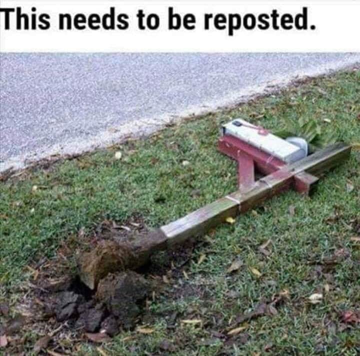 repost.jpg.cca8152b660c3dfccb8035f09ad8aacc.jpg