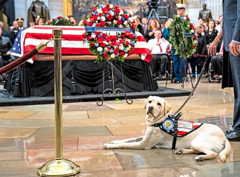 rs_1024x759-181204152744-1024-sully-george-h-w-bush-casket.jpg