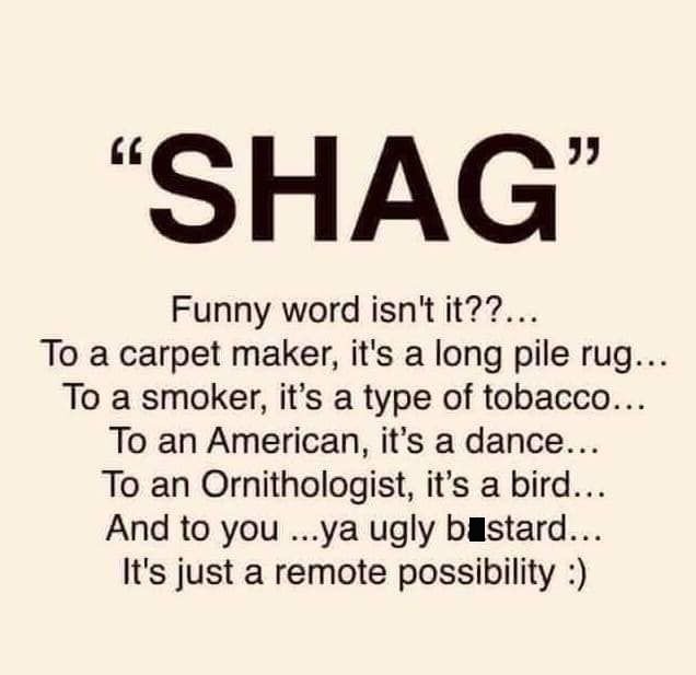 shag.jpg.59be5635d0aa835ddeb6ea2cf8d67ff1.jpg