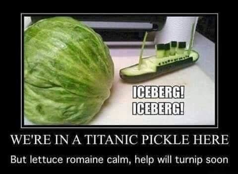titanic.jpg.3cbaf4403b5d8c94279d655c57948721.jpg