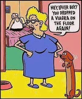 viagra.jpg.4f48a4acb5b7b72dfdc70521ca4d64ab.jpg