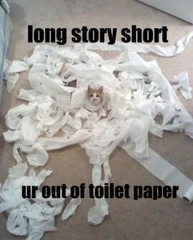 1271245368_Leotoiletpaper.jpg.5e15e6e0dec14edfdb2c110e2b0bf6aa.jpg