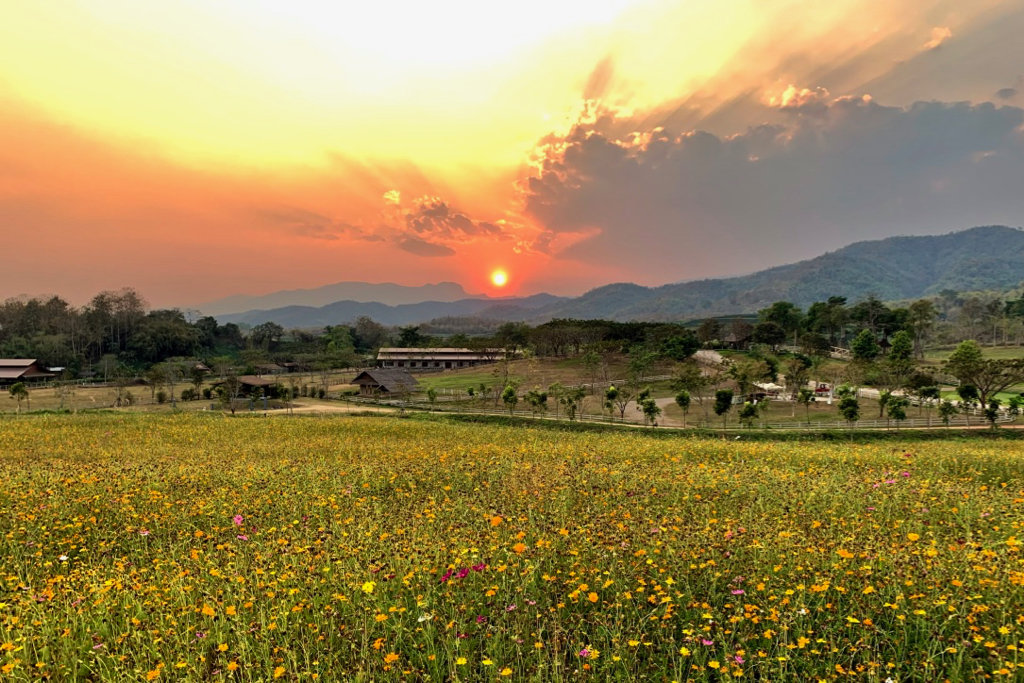 1550545044_SinghaPark2019-3.jpg.64519c3da9a4286bc6f520ea23958190.jpg