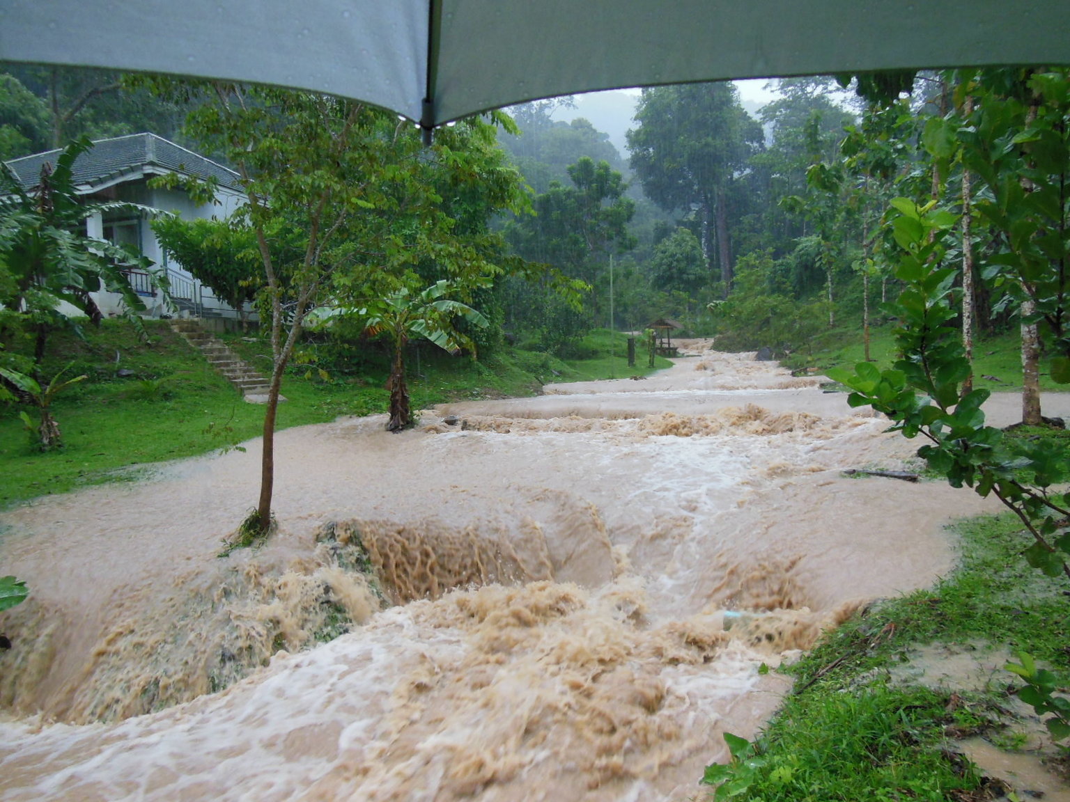 Creek flood Sep 2017.JPG