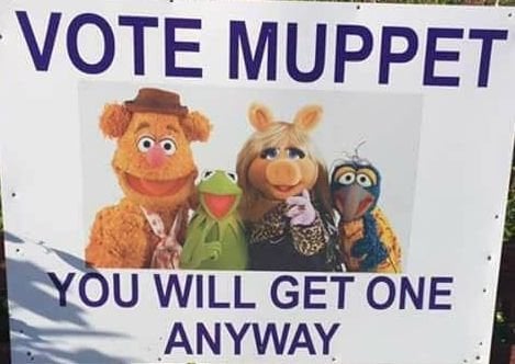 1678685437_votemuppet.jpg.52c5154f328eb7d11c2f5a9471359063.jpg