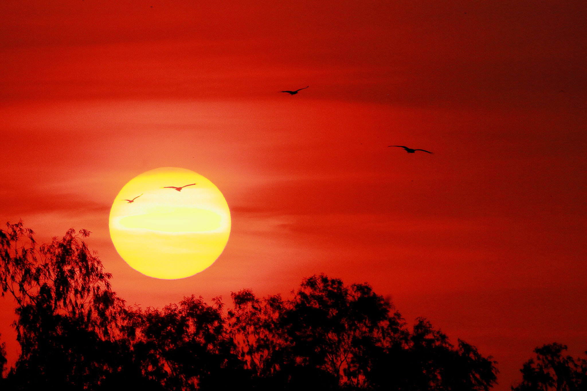 sunset pak phli 01.JPG