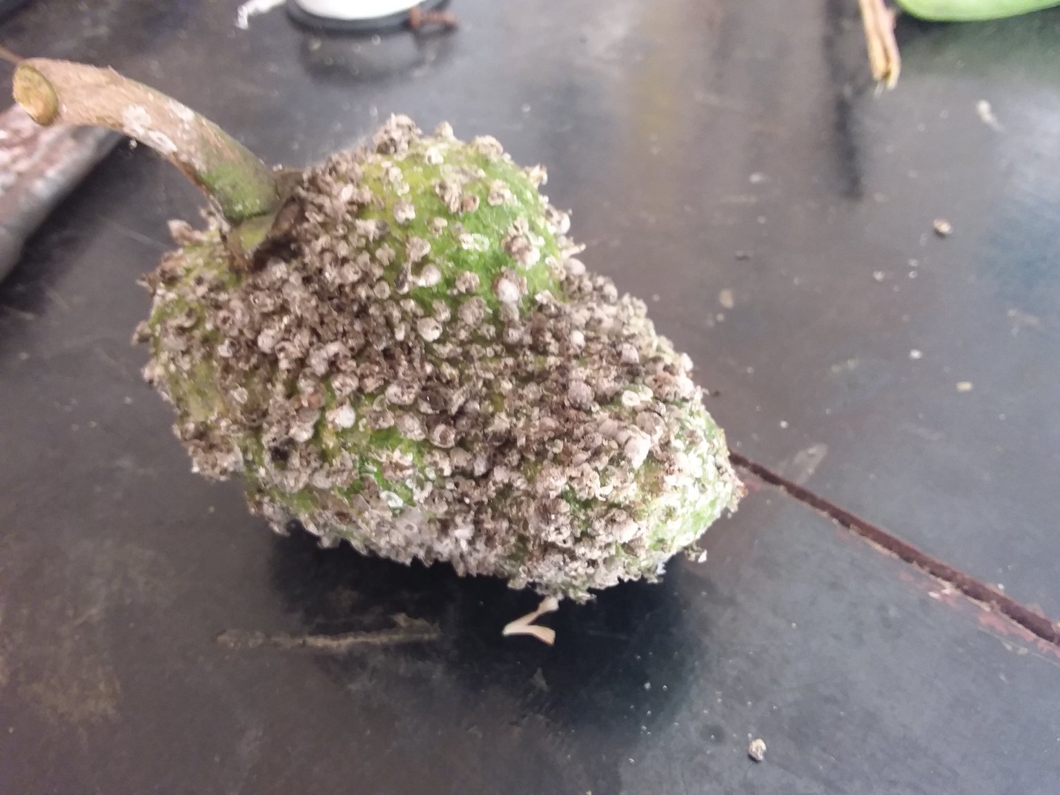 20190308_092356.jpg