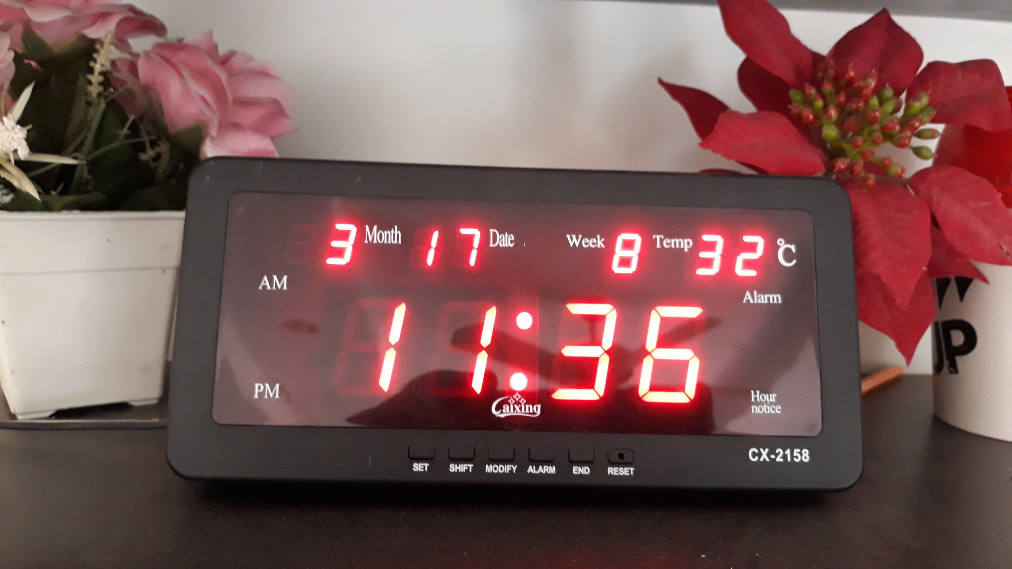 20190317_114753.jpg