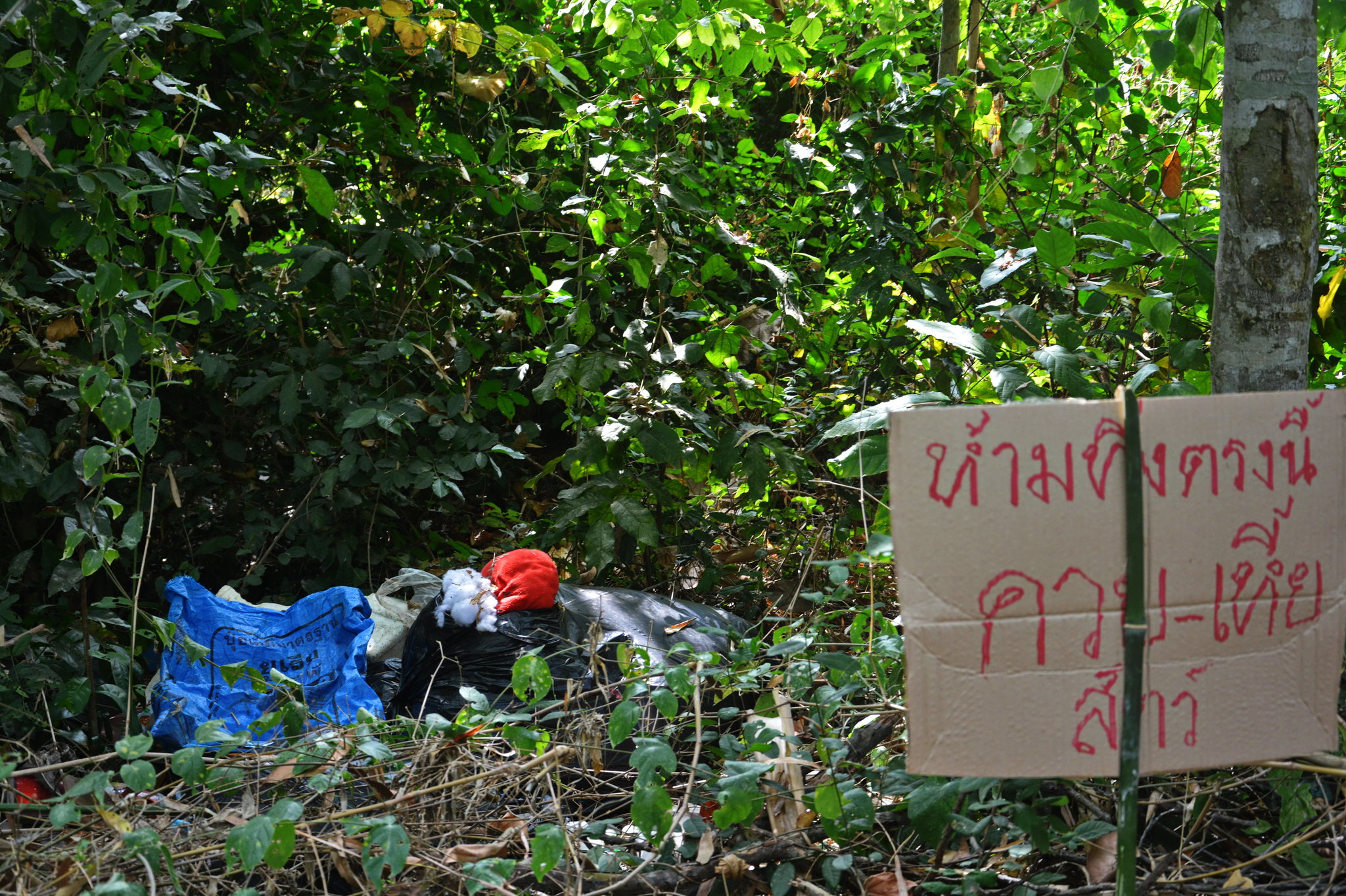 litter sign 2.JPG
