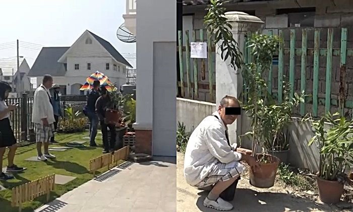 3pm.jpg