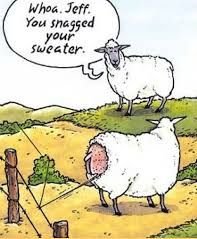 522225186_sheepjumper.jpg.9aa7662e8ea5f4b8254d15baac40cd65.jpg