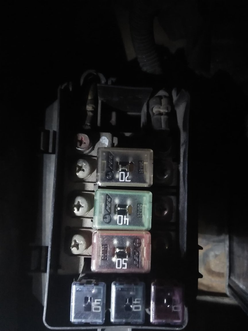 56444207_277608569822436_8356662819231367168_nFuses Z 2.jpg