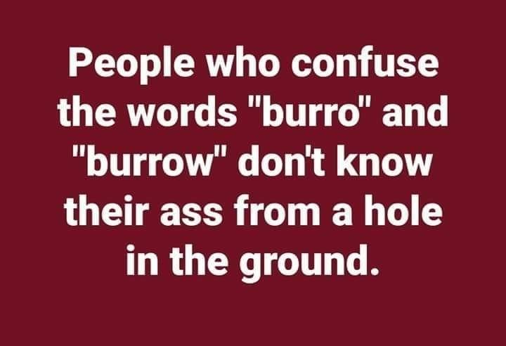 Burrow.jpg.df1b0b8a45302cdfd038f4f1294d380e.jpg