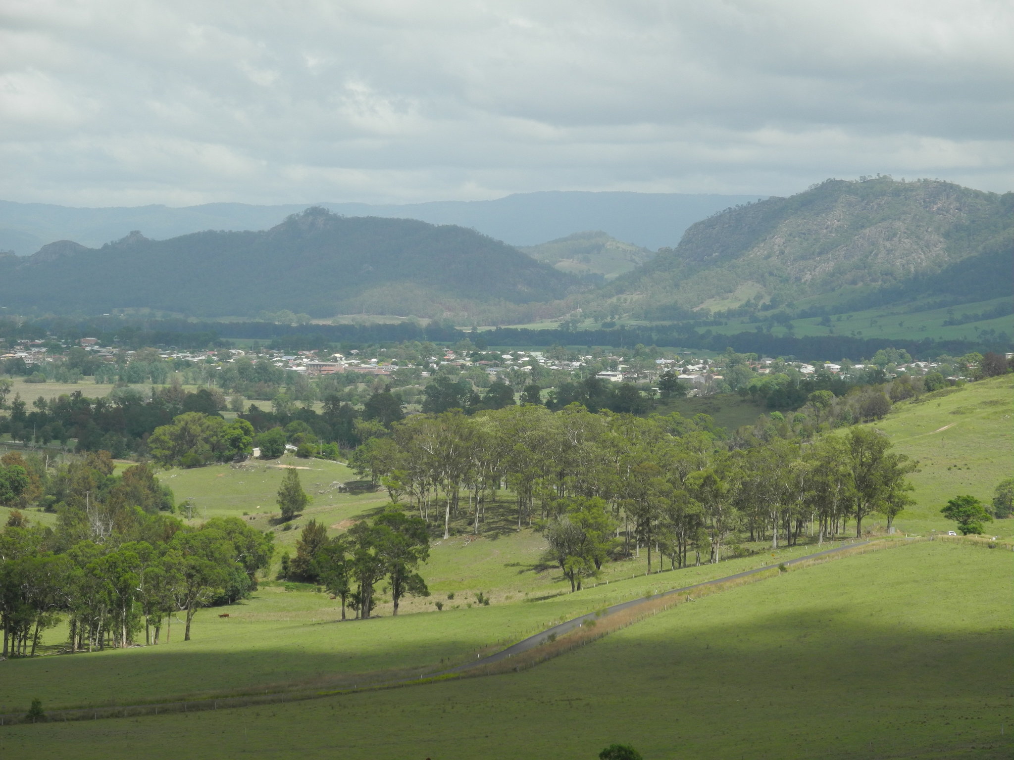 DSCN0275.JPG