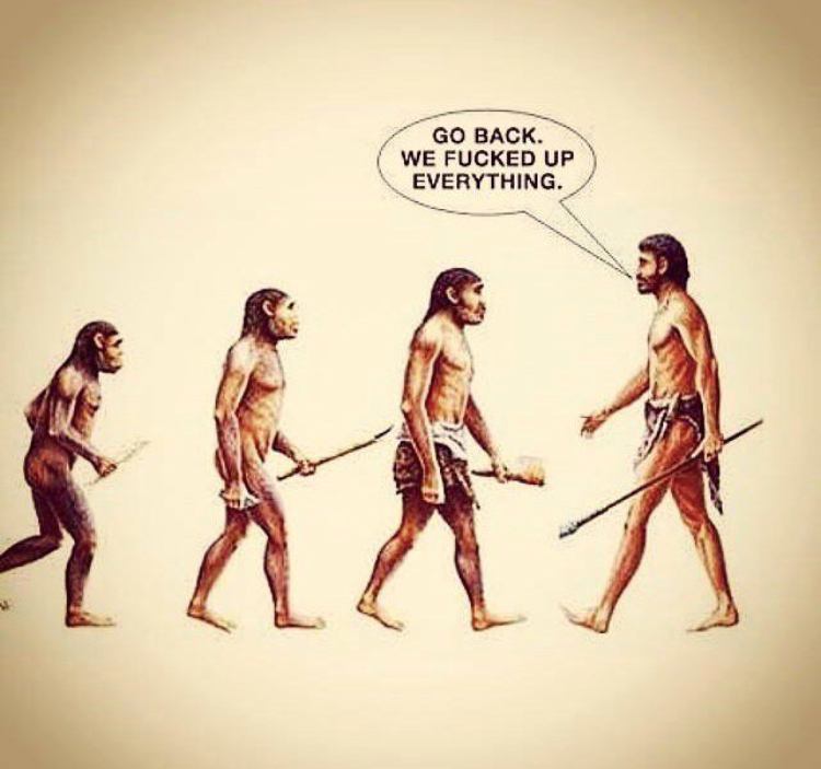 Evolution.png.72f5fbc76a0b554d9040869b412ebba8.png