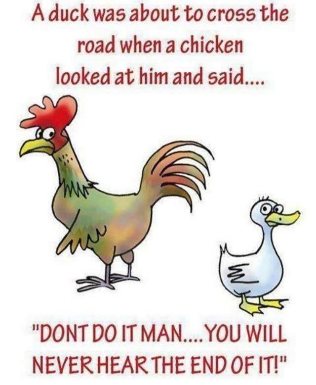 duck.jpg.dd1f9be4c3398d9f02d5dd1242ad58bd.jpg