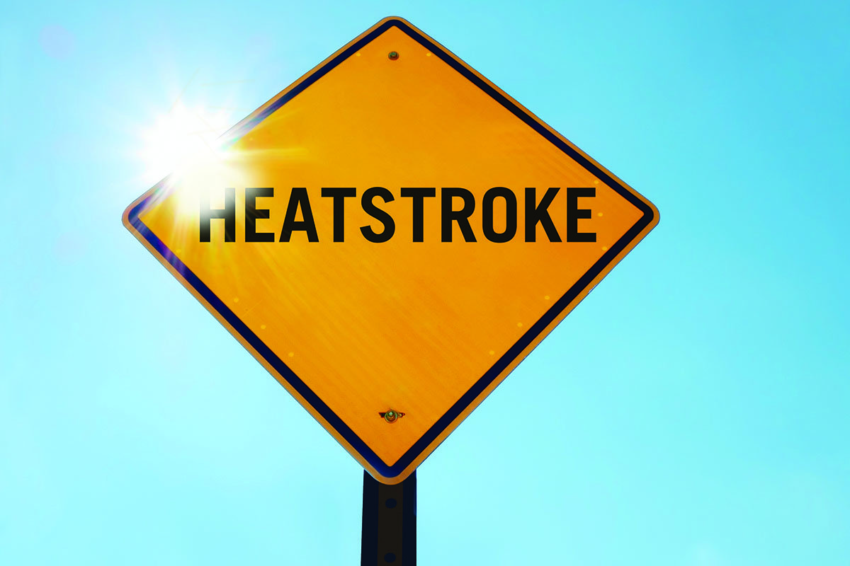 heatstroke.jpg