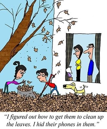 leaves.jpg.5f4cd43e5925b81e6ead0fc4fdde0d68.jpg