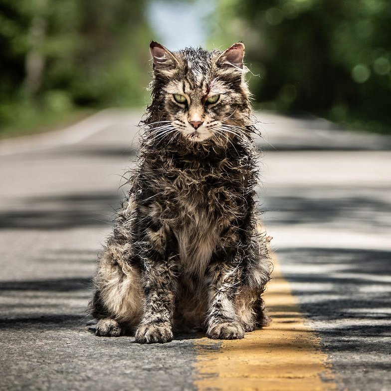 pet-sematary-1553681455.jpg