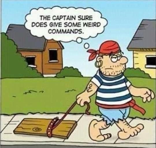 pirate.jpg.7be2202258e2f2013c4b5e53795a7256.jpg