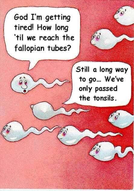 tonsils.jpg.422f2ace72802e31a799077acf6f302f.jpg