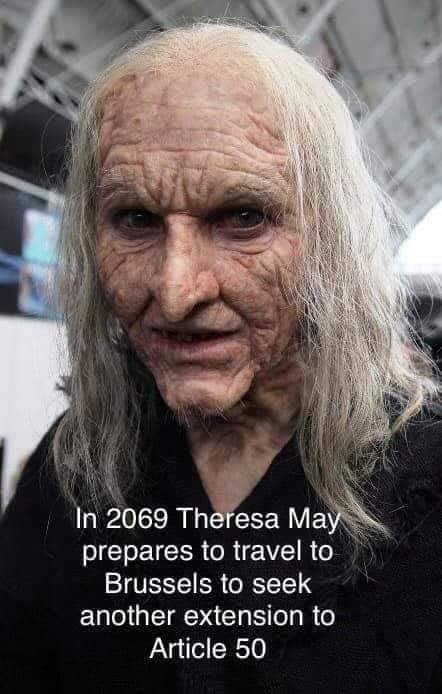 tt.jpg