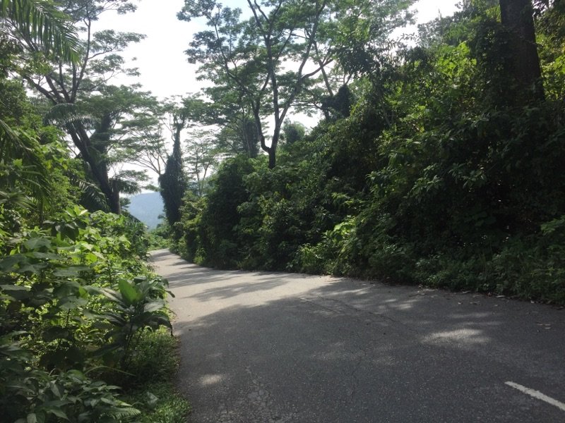 1094359341_RawangSungaiBulohquietroad.jpg.84f82b1457182068b3719dab2a0f0b7d.jpg
