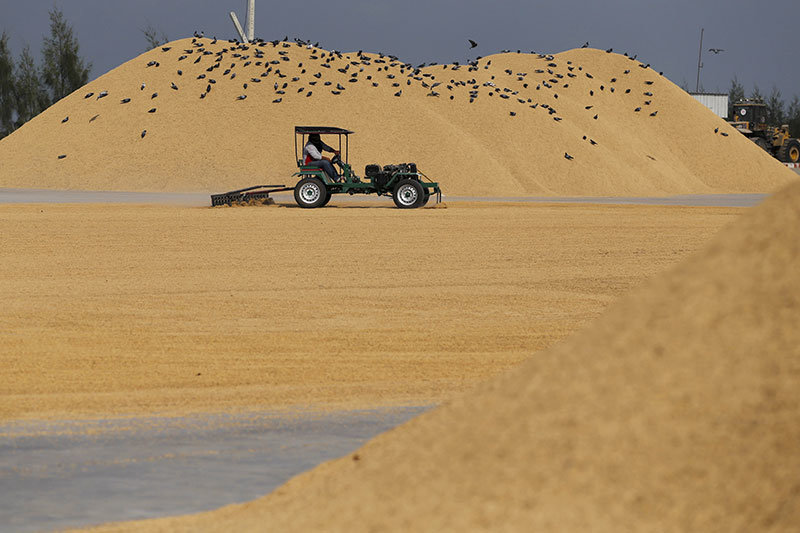 2019-04-22T041239Z_1_LYNXNPEF3L05X_RTROPTP_4_THAILAND-RICE.JPG