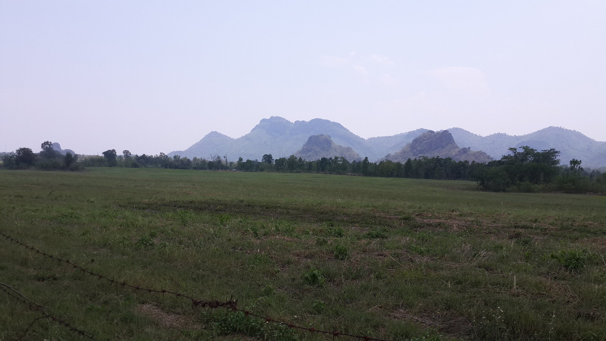 20190408_125409.jpg