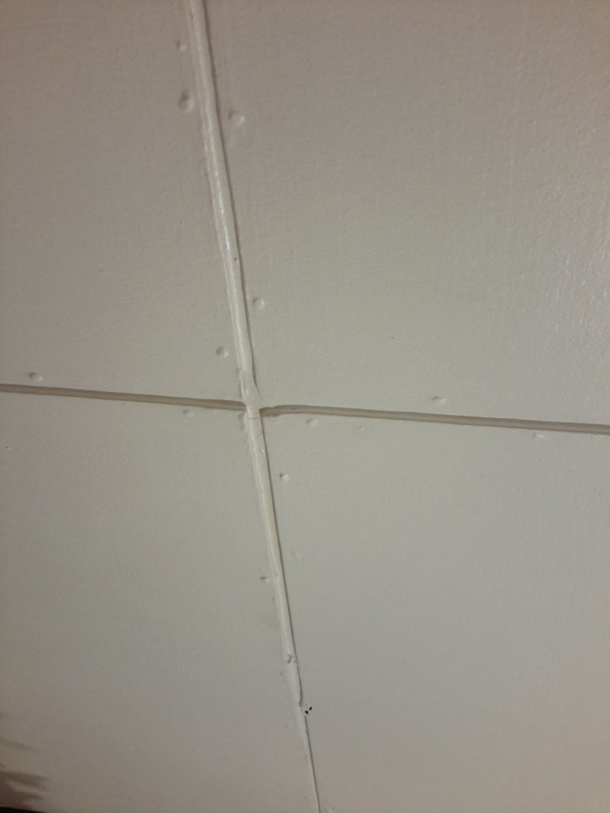 20190417_181907.jpg
