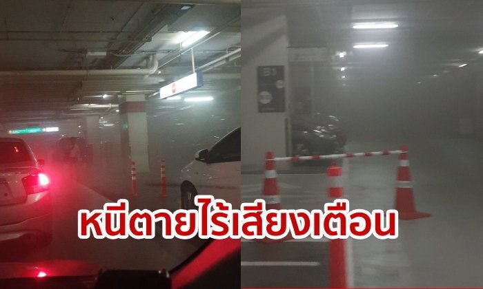 2pm.jpg