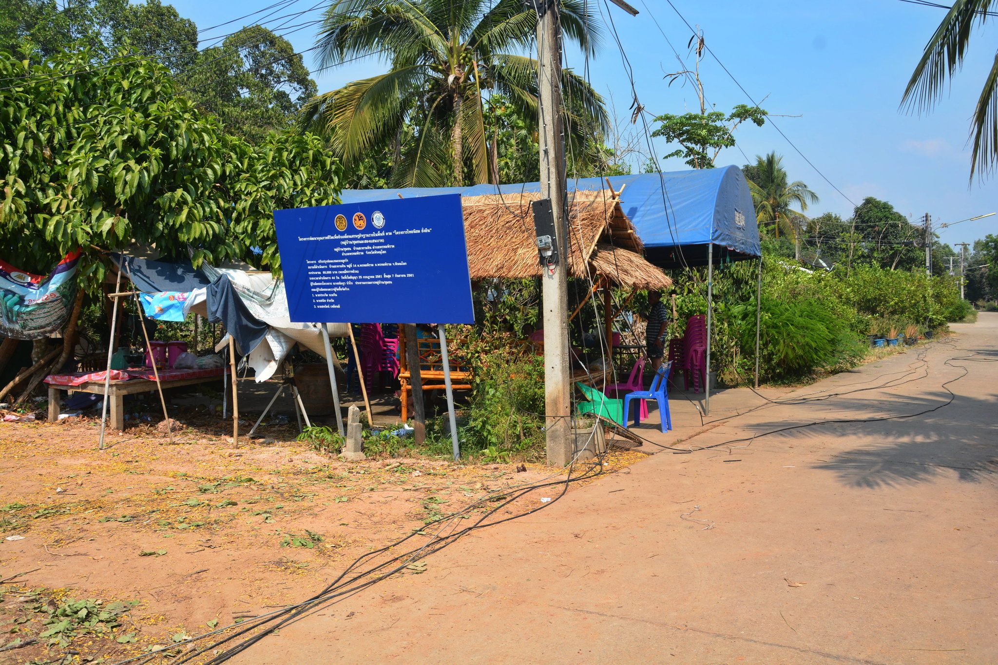 elec lines down.JPG