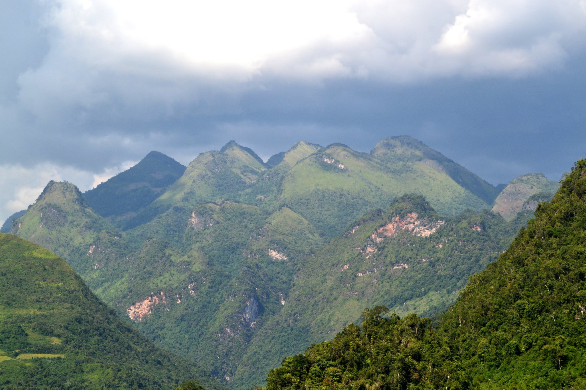 DSC_0165.JPG
