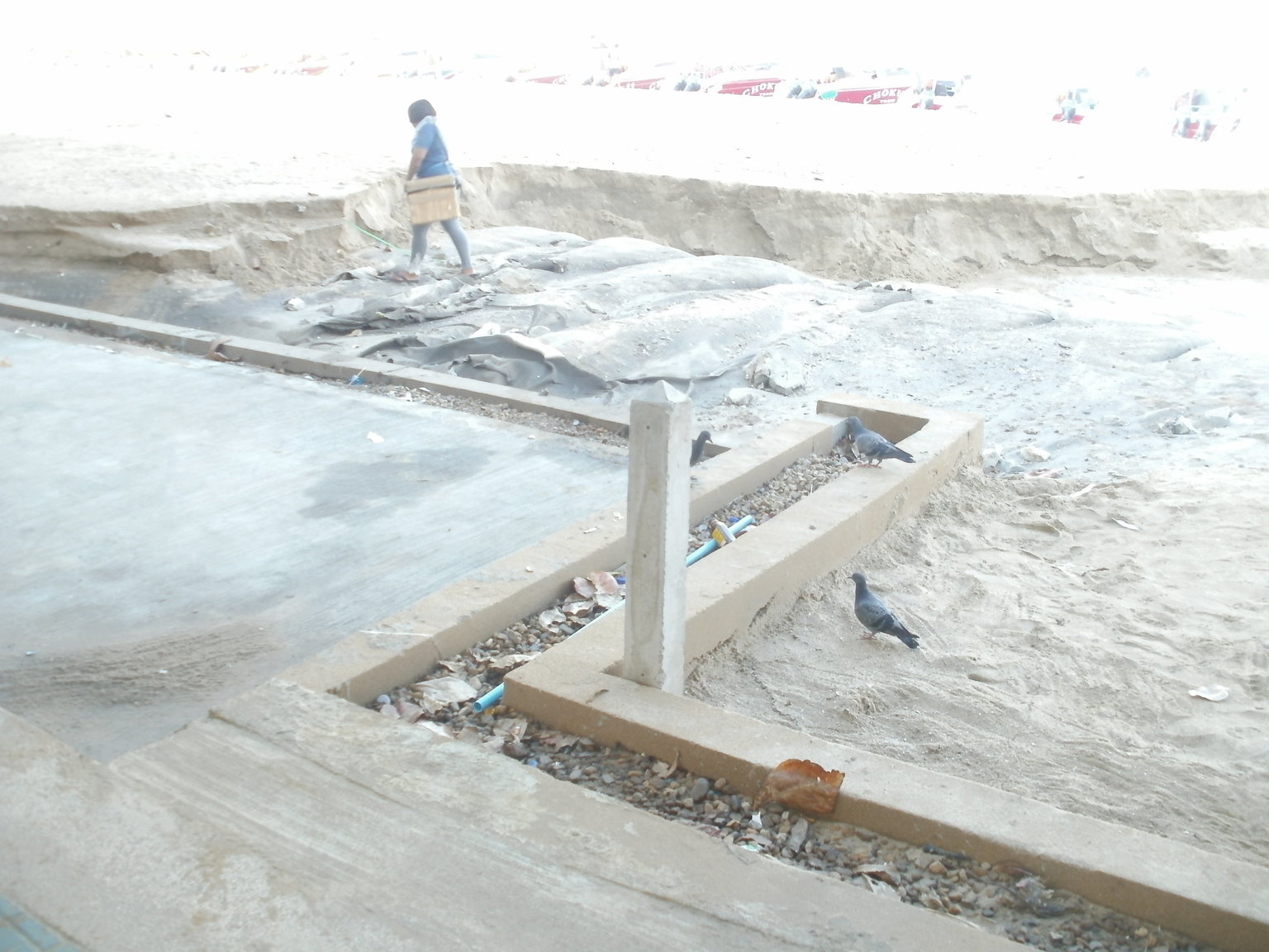 P1010236.JPG