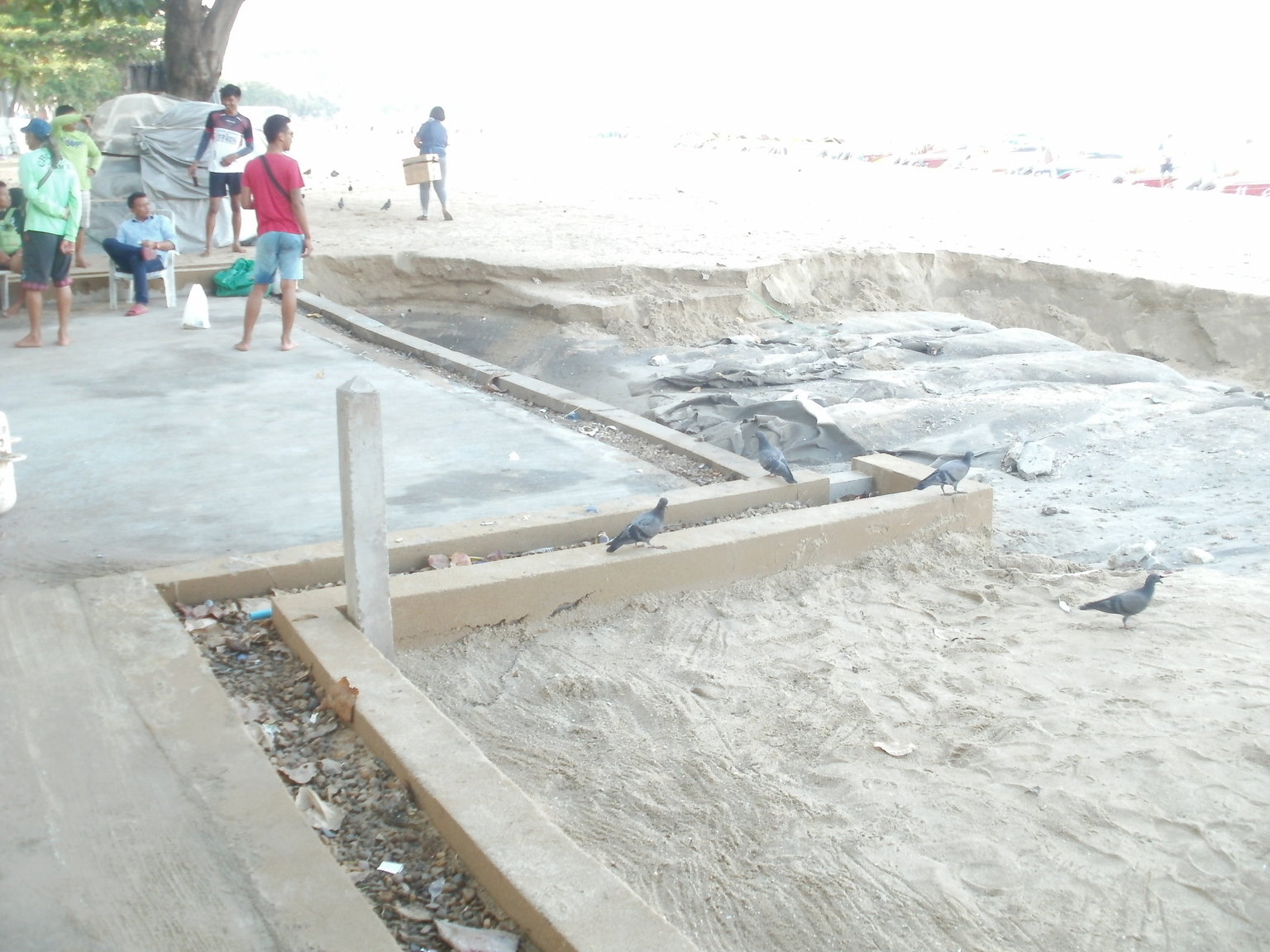 P1010237.JPG