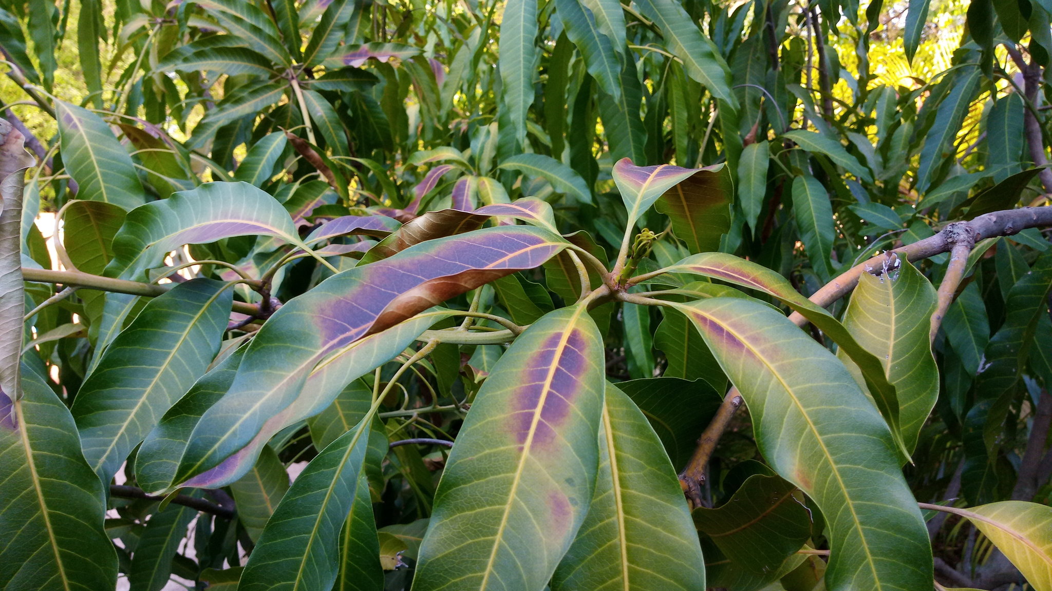 P_20190428_165946.jpg
