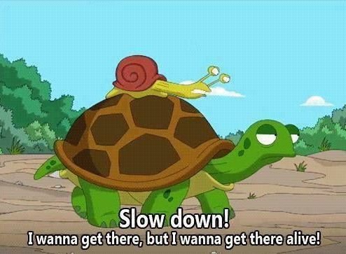 Slow-down-turtle-Funny-Comic.jpg.5c68aee9a8f86840300a88f9ef7992c2.jpg