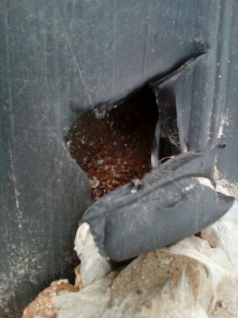 blob.png.77ae7a1c705ced12697998484f63e35a.png